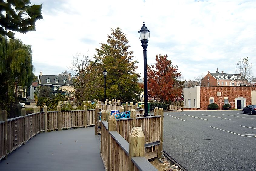 Fall colors in Milford, Delaware