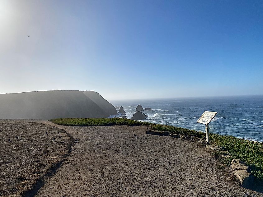 A wide coastal nature trail looks out over the Pacific Ocean on a sunny day. 