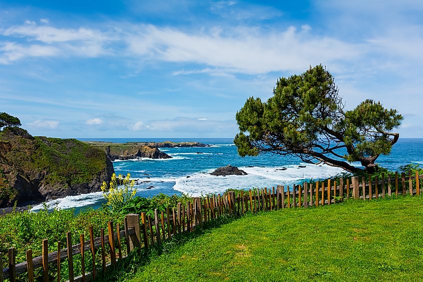 California Coast in Mendocino.