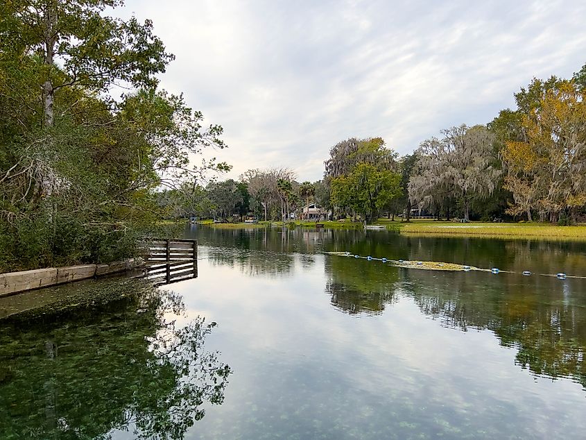 The spring at Rainbow River State Park in Dunnellon, Florida