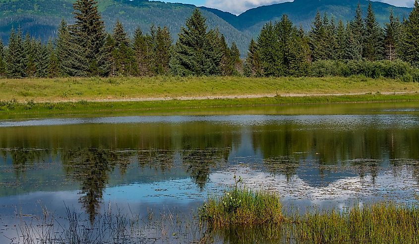 Pond in Gustavus, Alaska. Mountains in background. 