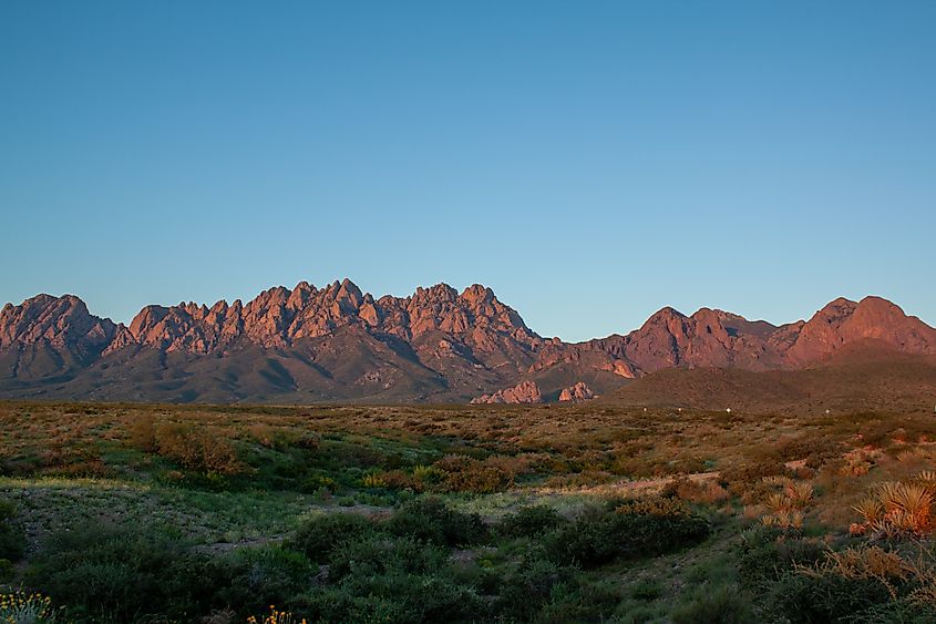 The Organ Mountains at dusk.