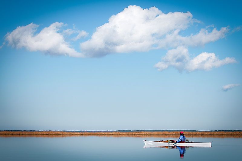 A winter paddle in the Blackwater National Wildlife Refuge