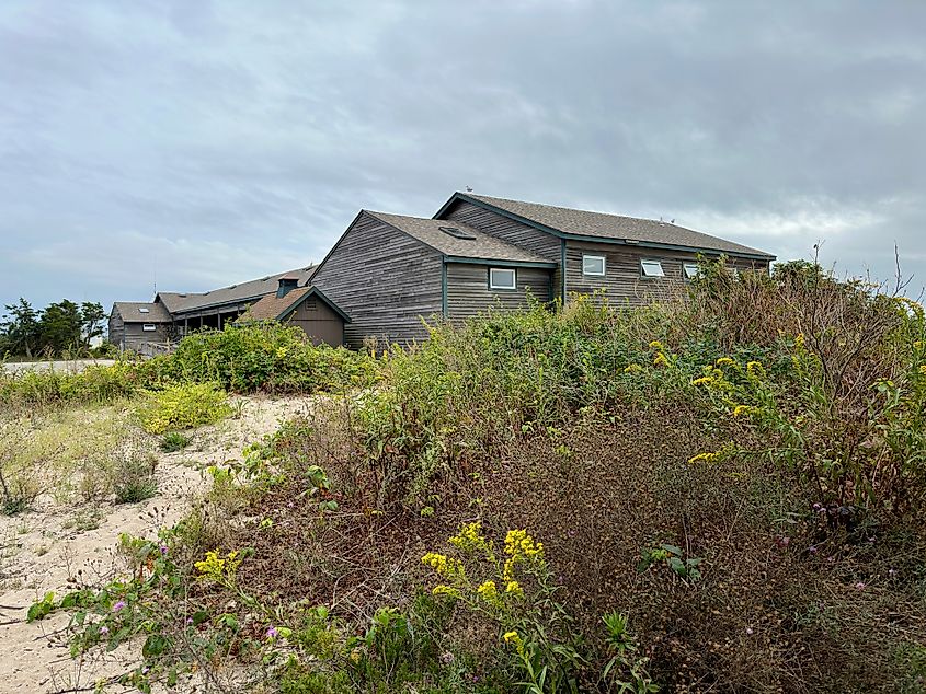 View of wooden building at Hammonasset Beach State Park. Hidden behind plants. Editorial credit: Rachel Rose Boucher / Shutterstock.com