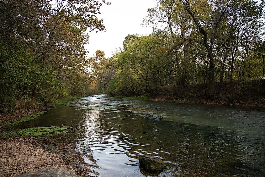 View of foliage in Bennet Springs State Park in Missouri.