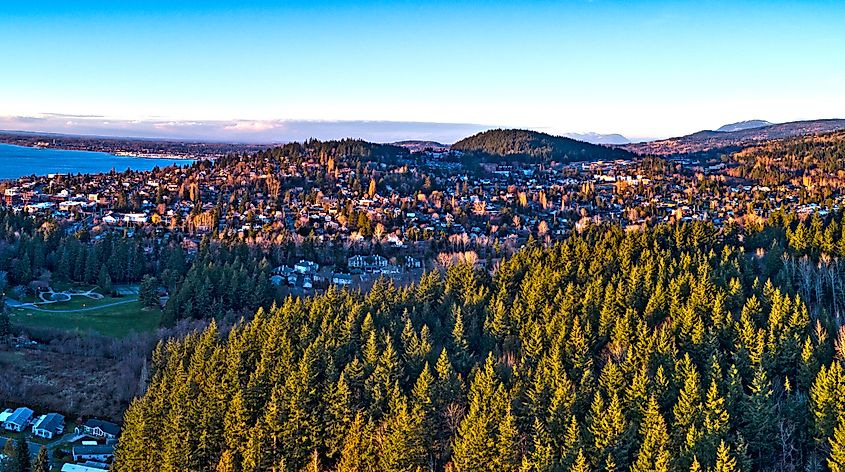 Forest View Bellingham Washington Fairhaven Neighborhood.