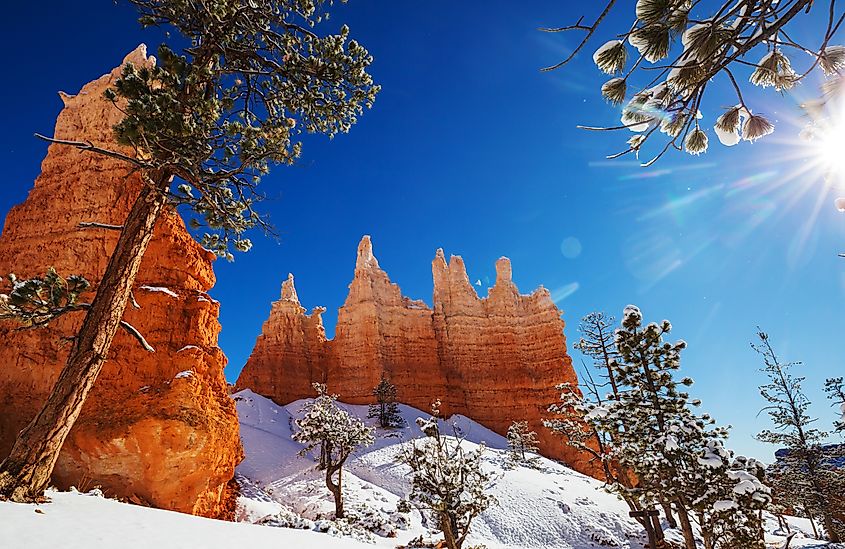 Picturesque colorful pink rocks of the Bryce Canyon National park in the winter season, Utah, USA