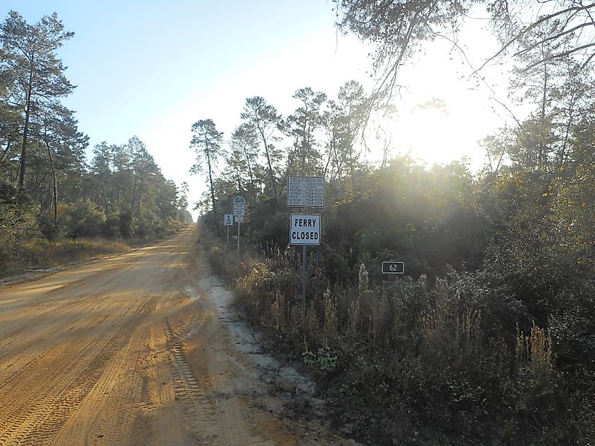 A scenic view along National Forest Route 62 in Ocala National Forest, just east of Florida State Road 19.