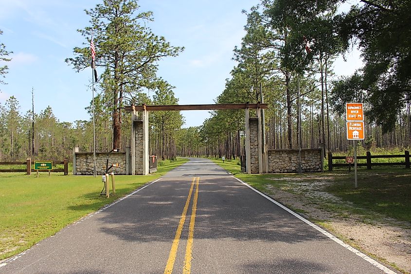 Suwannee River State Park. In Wikipedia. https://en.wikipedia.org/wiki/Suwannee_River_State_Park By Michael Rivera - Own work, CC BY-SA 4.0, https://commons.wikimedia.org/w/index.php?curid=78939020