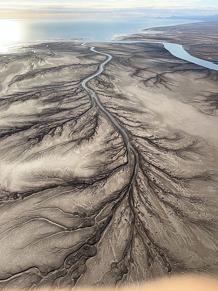 This aerial photo showcases the intricate and abstract tree patterns in the Colorado River delta in Mexicali Baja California, Mexico.