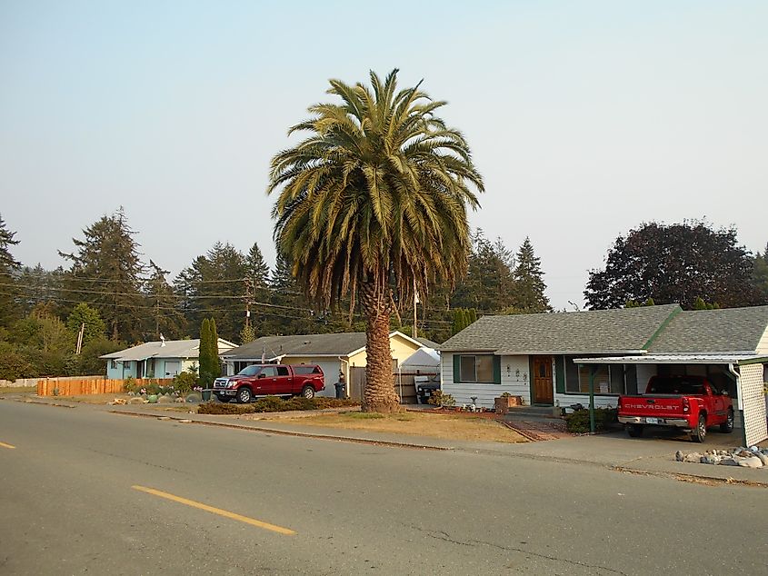 Street view in Brookings, Oregon