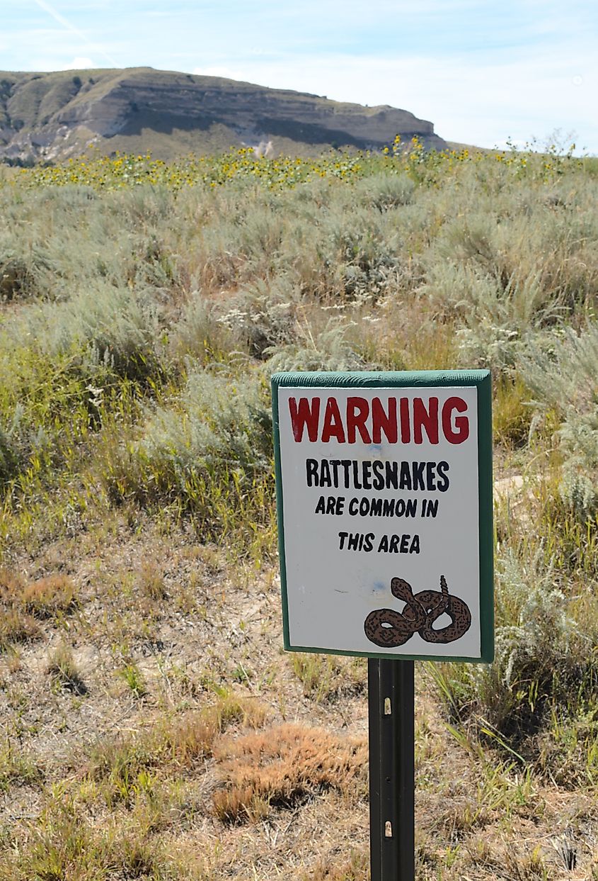 A rattlesnake warning sign in Nebraska.