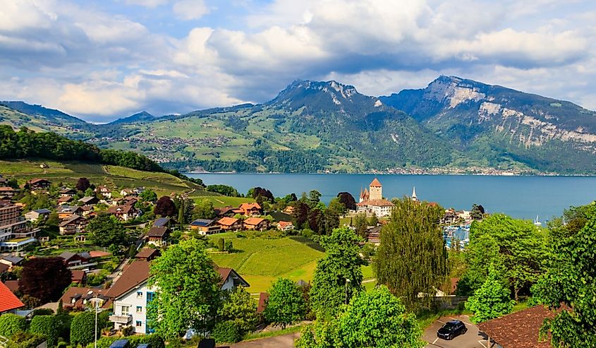 Aerial view of Spiez town with Spiez castle and Lake Thun, Switzerland.