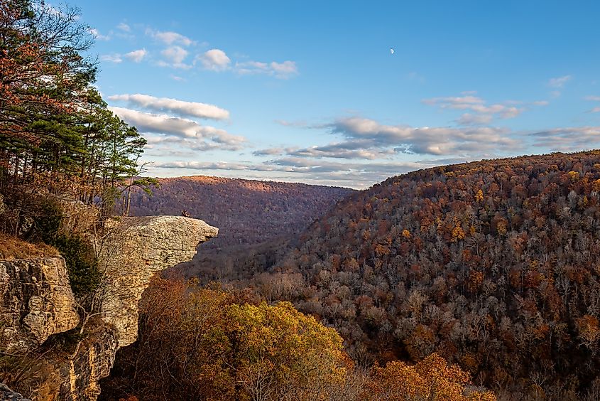 Beautiful scenic view of Hawksbill Crag (Whitaker Point) in the Ozark National Forest in Arkansas in Autumn.