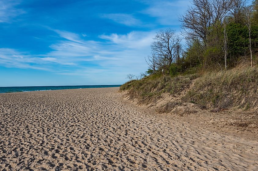 Lake Michigan beachfront at Indiana Dunes State Park.