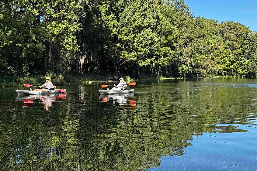 Kayaking at Silver Springs in Ocala Image Credit Bryan Dearsley