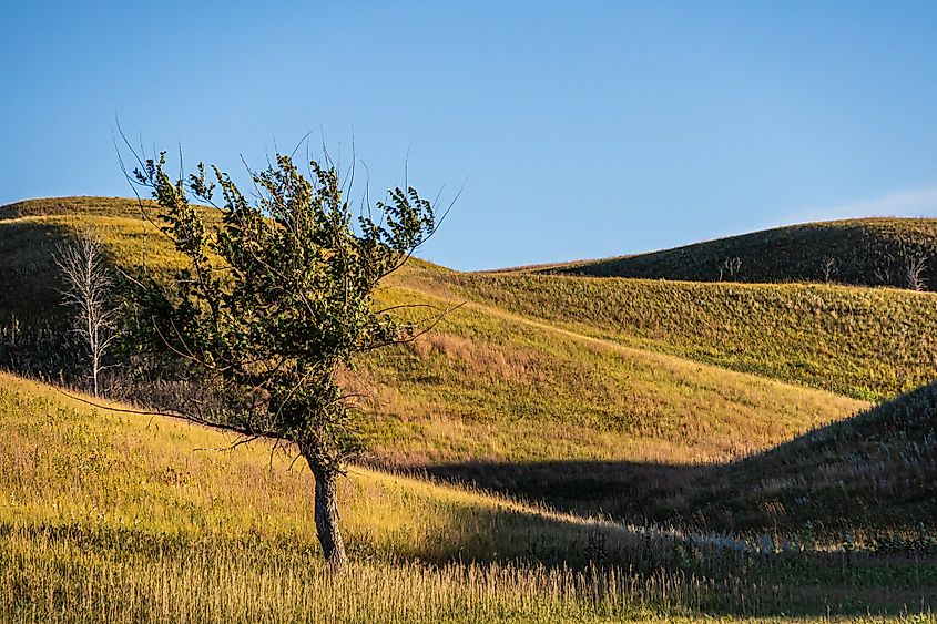 Upper Souris National Wildlife Refuge in North Dakota