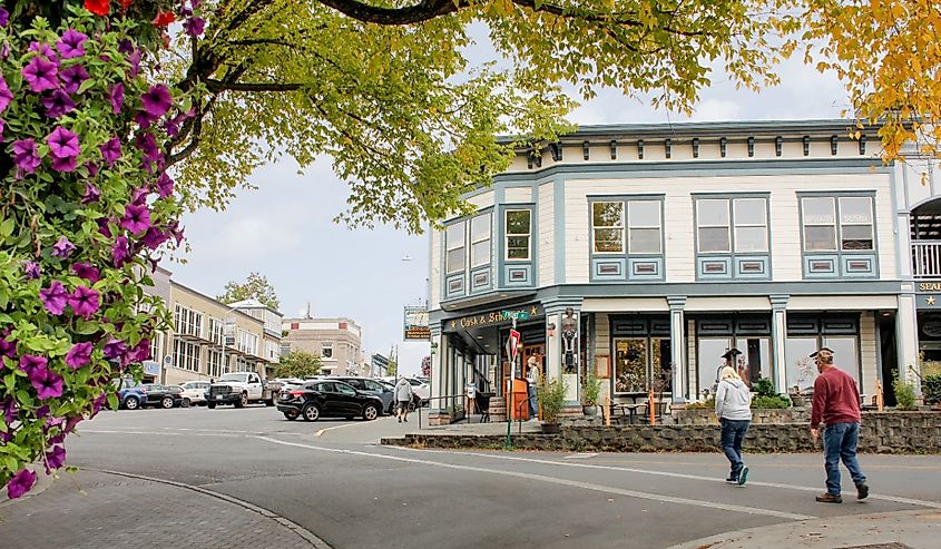 A view of the pedestrians crossing the street in the downtown area of Friday Harbor.