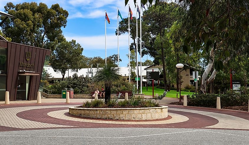 Murdoch University roundabout, Western Australia.