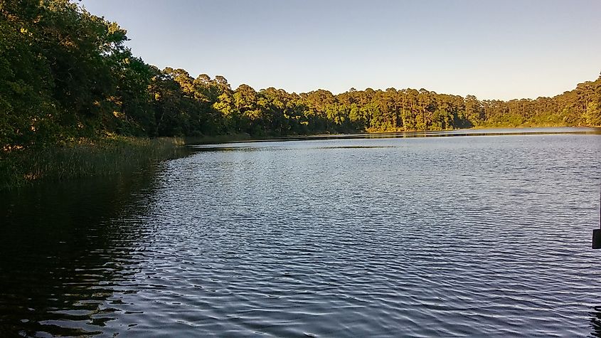 Lake Raven in Huntsville State Park, Texas.