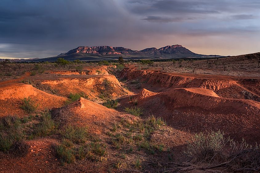 Wilpena Pound in the Flinders Ranges, South Australia.