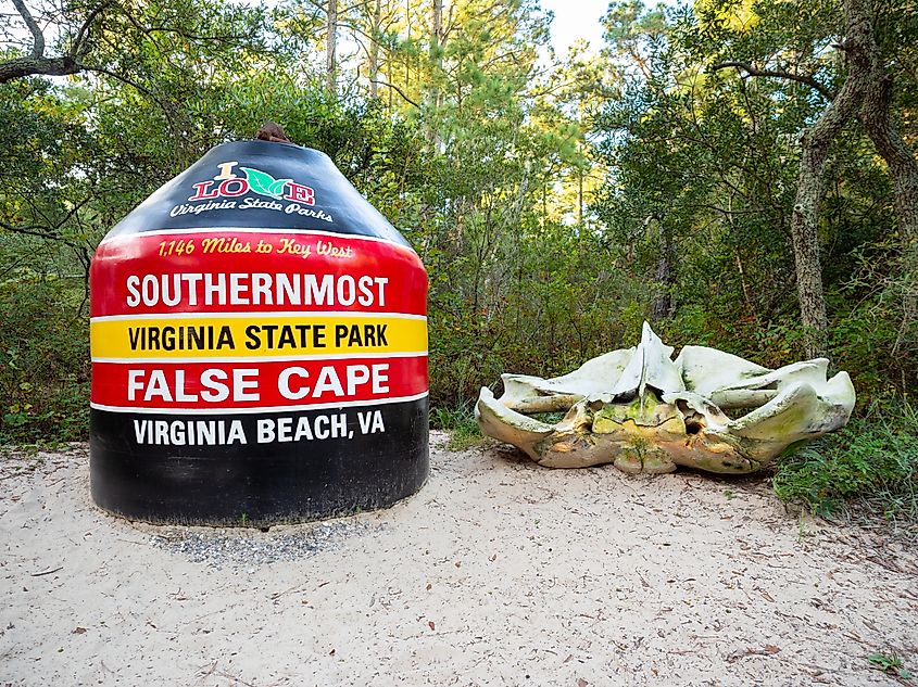 False Cape State Park