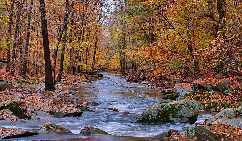 Bynum Run Creek in Bel Air, Maryland