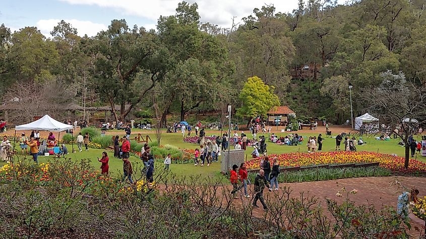 Araluen Botanic Park near Perth, Western Australia