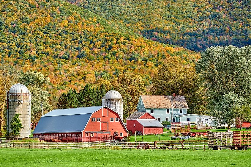 Local farms on the Vermont Cheese Trail, via 