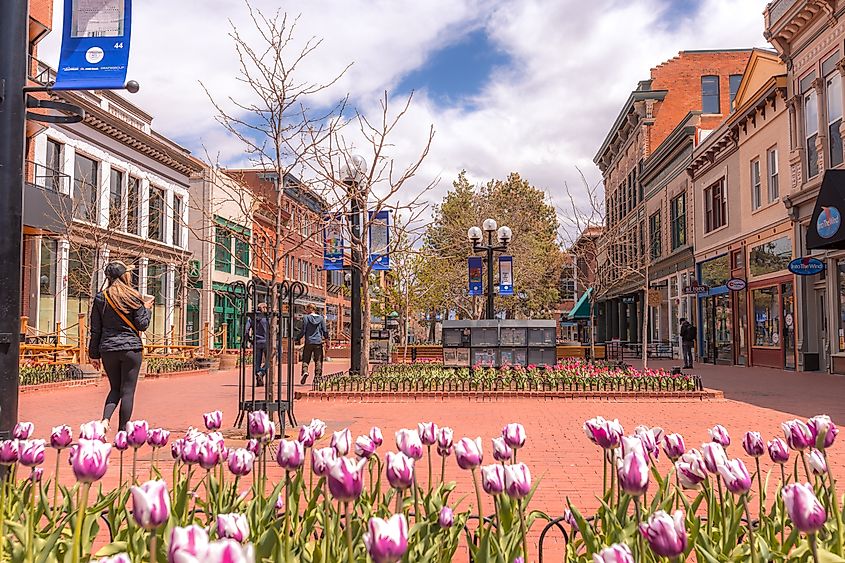 Famous Pearl street Mall touristic area tulip bloom on a sunny spring day. Editorial credit: Moab Republic / Shutterstock.com