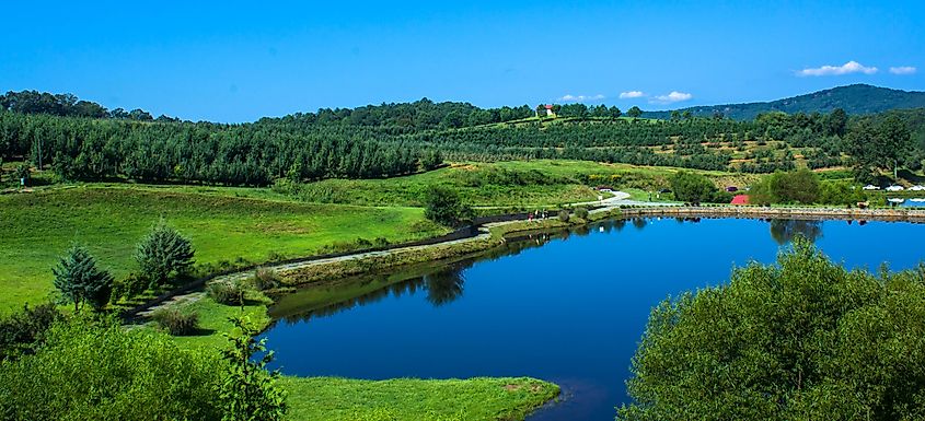 View of Mercier Farm along the waterfront.