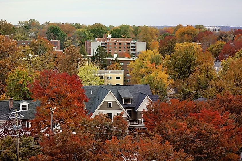 Bethesda, MD - November 5, 2017: Fall foliage peaks in a neighborhood in Montgomery County.