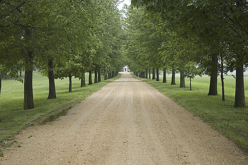 A tree-lined road leads to a Southern plantation in Surry County, Virginia