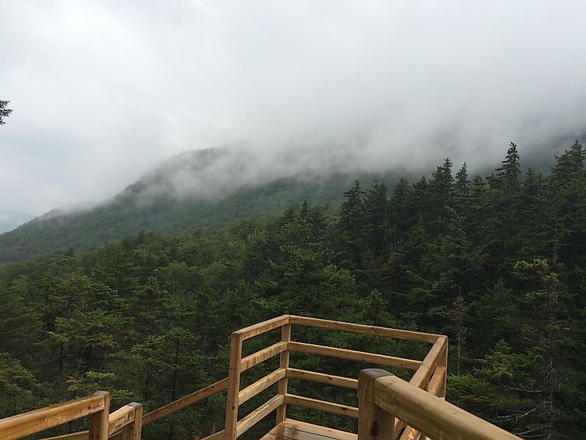 Heavy fog veils the Lost River Gorge and Boulder caves.