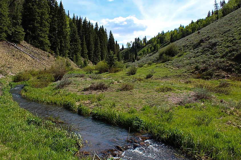 Cimarron River, Kenton, Oklahoma.