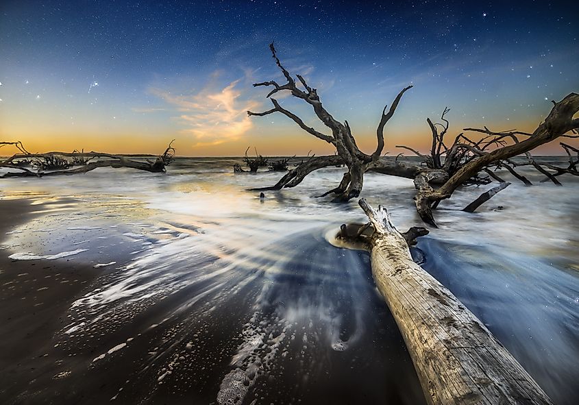 A beautiful two-exposure blend at Big Talbot Island State Park, Florida