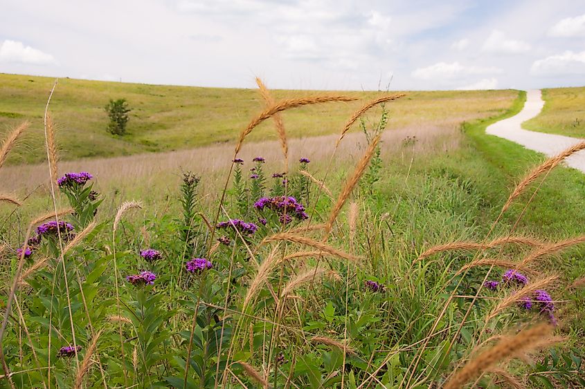 Strong City, Kansas, is a gateway to the Tallgrass Prairie National Preserve.