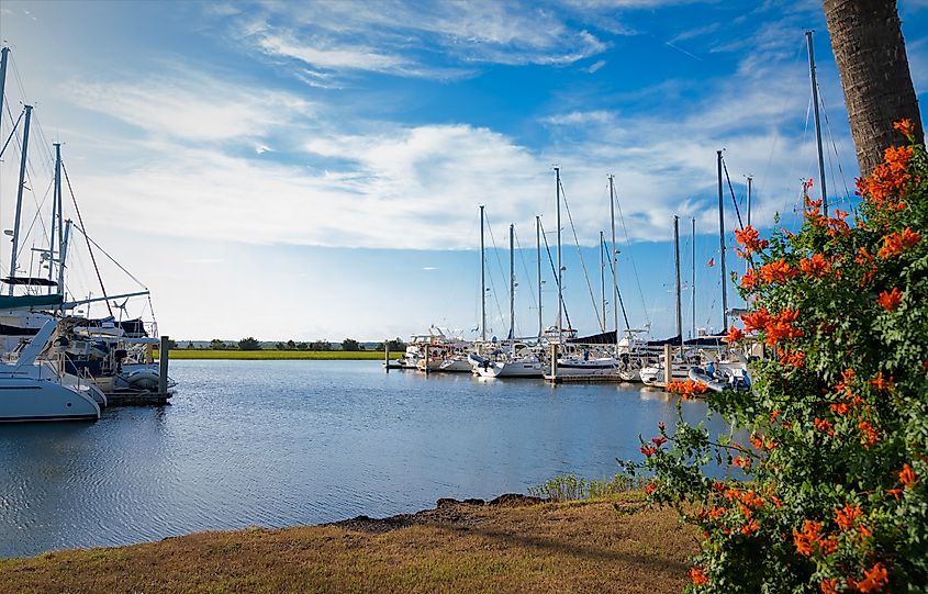 The marina at Brunswick, Georgia