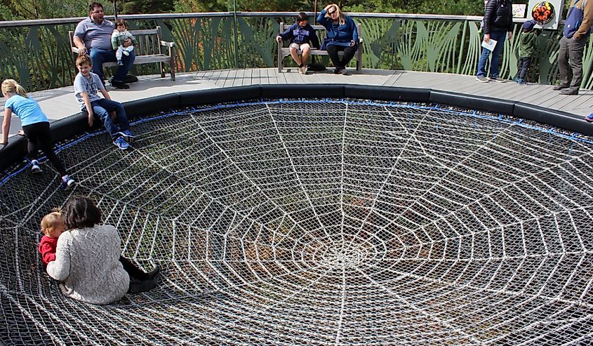 Families playing together in the spider web's center, a section of THE WILD WALK, where trails of bridges and exhibits educate the public on area wildlife.