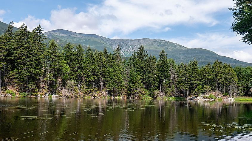 Lost Pond, Gorham New Hampshire. 