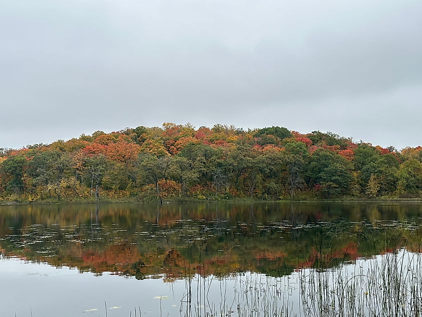 Fall colors at Maplewood State Park in Minnesota.