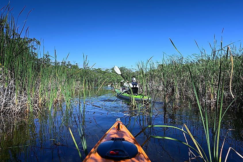People kayaking at the Nine Mile Pond in Everglades National Park, Florida
