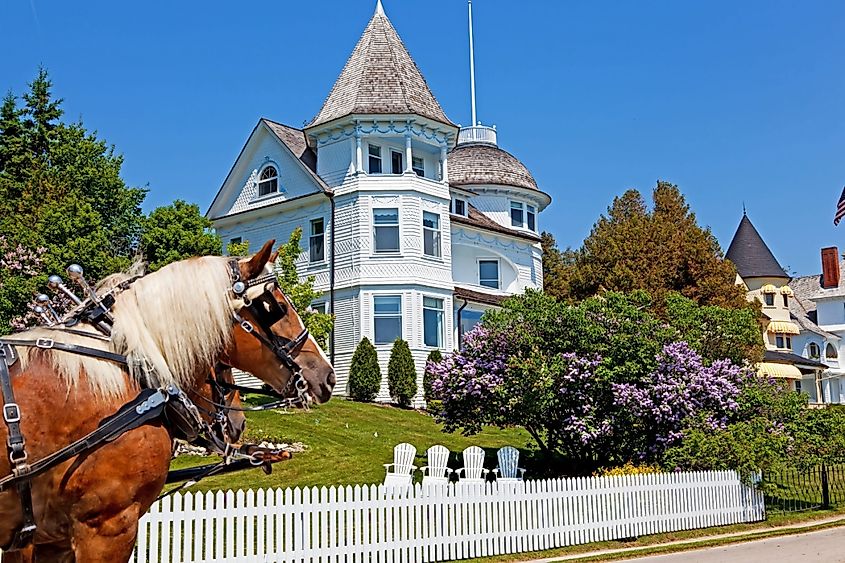 The Wedding Cake Cottage is shown on the West Bluff on Michigan's Mackinac Island. A horse stands in front and the lilacs out front are in full bloom