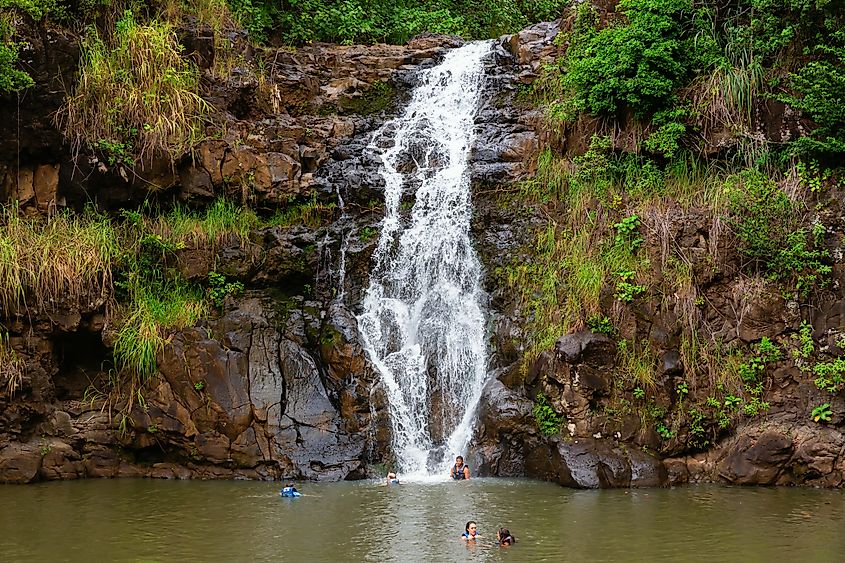 The trail to Waimea Falls is about 3/4 of a mile and takes approximately 30 minutes in he Waimea Valley Botanical Gardens. Editorial credit: Christian Mueller / Shutterstock.com