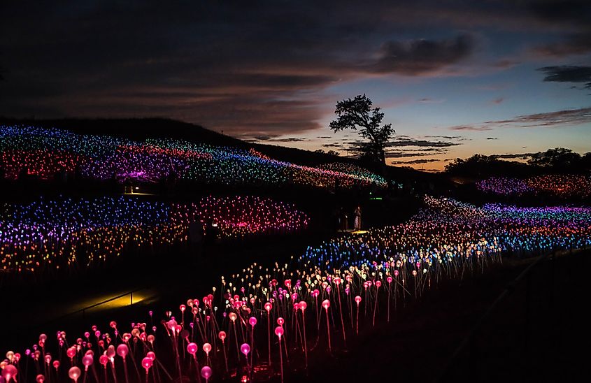 Sensorio, the Field of Light in Paso Robles, California