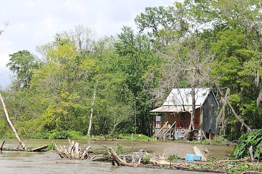 Honey Island Swamp, Slidell