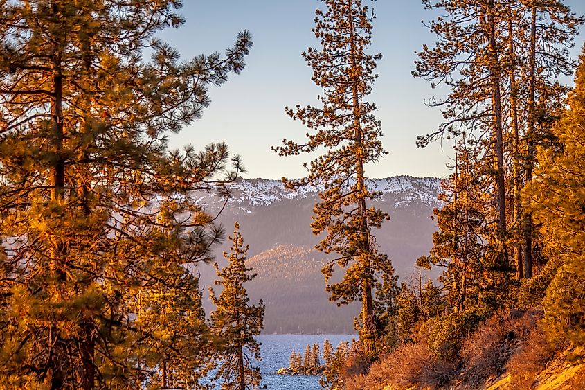 The West Shore of Lake Tahoe