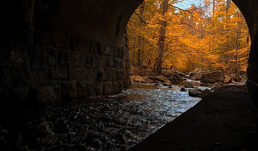 A dark tunnel leading to an autumn forest in Arden, Delaware.