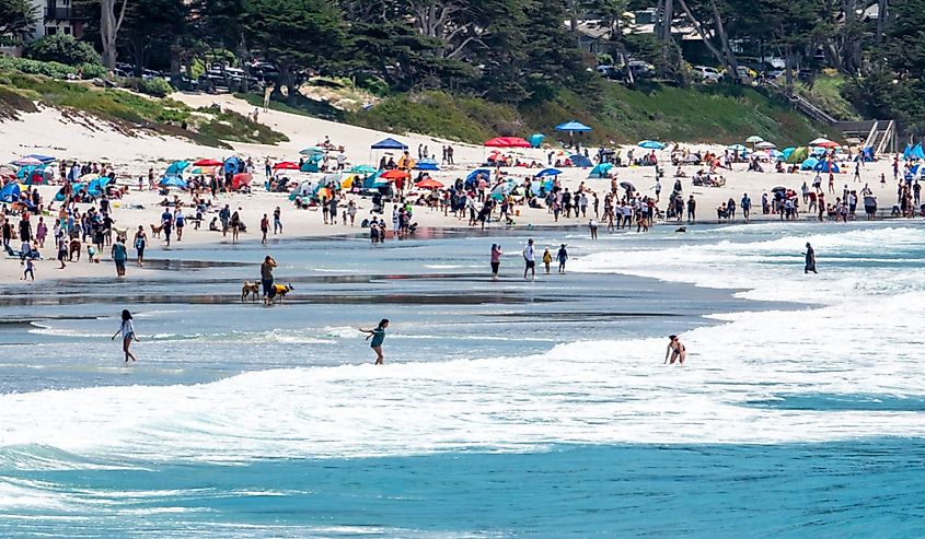 Carmel Beach, at Carmel by the Sea.