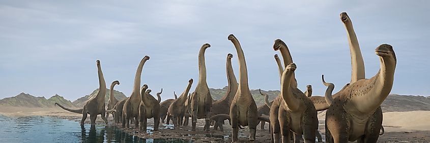 Herd of Titanosaurs roaming together.